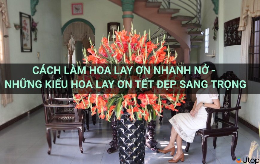 4. Điều Chỉnh Nhiệt Độ Môi Trường