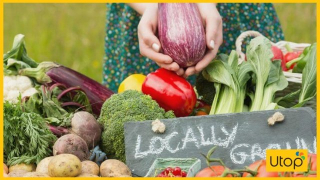 Mua rau củ online ở đâu để không sợ thiếu rau sạch 4 mùa
