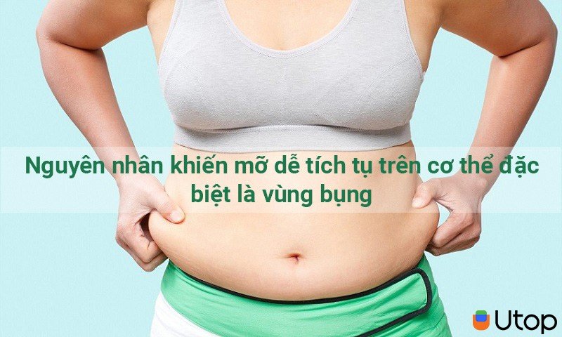 Nguyên nhân khiến mỡ dễ tích tụ trên cơ thể đặc biệt là vùng bụng