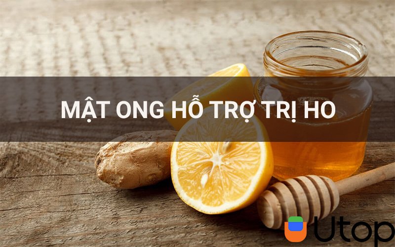 Có tác dụng hỗ trợ chữa bệnh ho