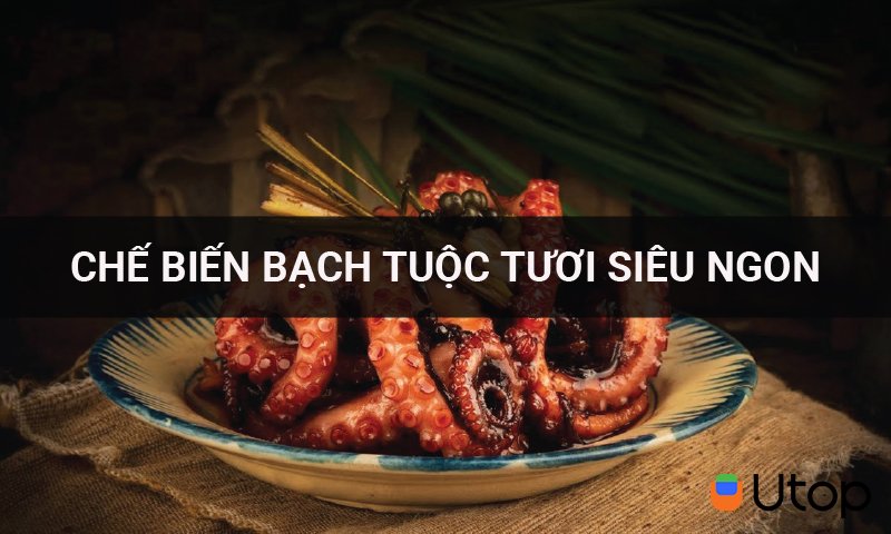 Cách chế biến các món ăn siêu ngon, hấp dẫn từ bạch tuộc tươi