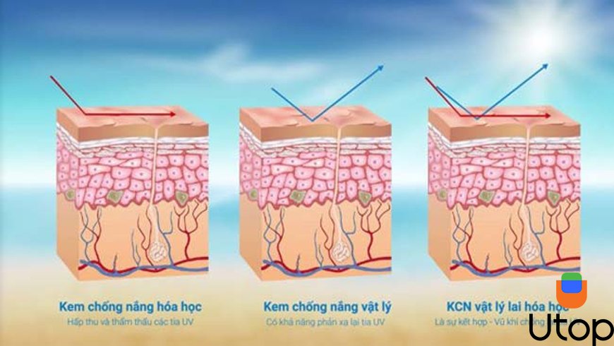 Kem chống nắng vật lý lai hóa học là gì?