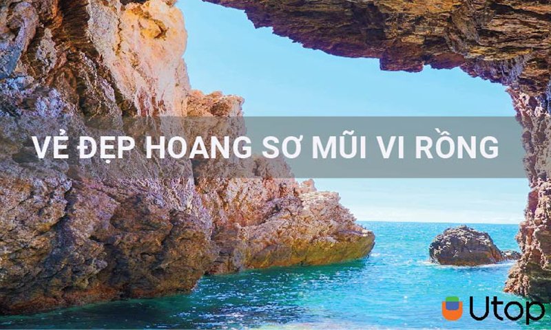 Khám phá vẻ đẹp hoang sơ mà tạo hóa đã ban tặng tại Mũi Vi Rồng- Bình Định