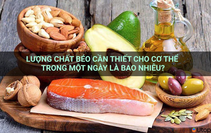 Lượng chất béo cần thiết cho cơ thể trong một ngày là bao nhiêu?