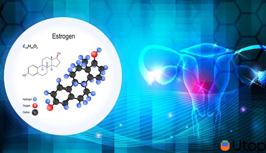 Rối loạn nội tiết tố là gì?