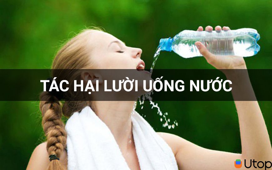 Tác hại của việc lười uống nước đối với cơ thể mà bạn chưa biết