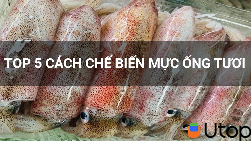 Top 5 cách chế biến món ăn thơm ngon từ mực ống tươi