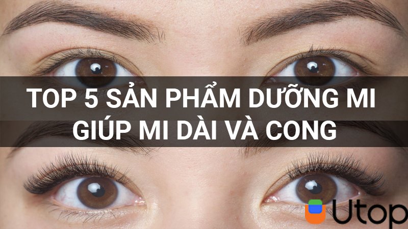 Top 5 loại dưỡng mi dài, cong cho nàng mê làm đẹp bỏ túi