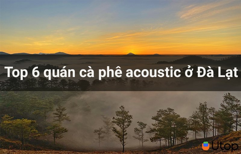 Top 6 quán cà phê acoustic tại Đà Lạt cho bạn yêu thích sự bình yên