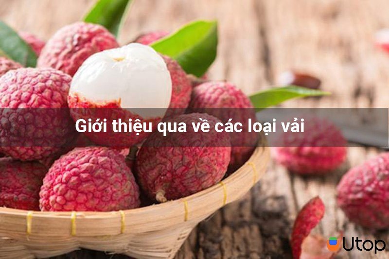 Giới thiệu qua về các loại vải