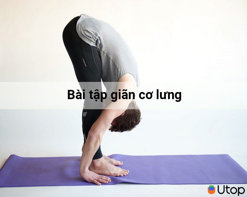 Bài tập giãn cơ lưng