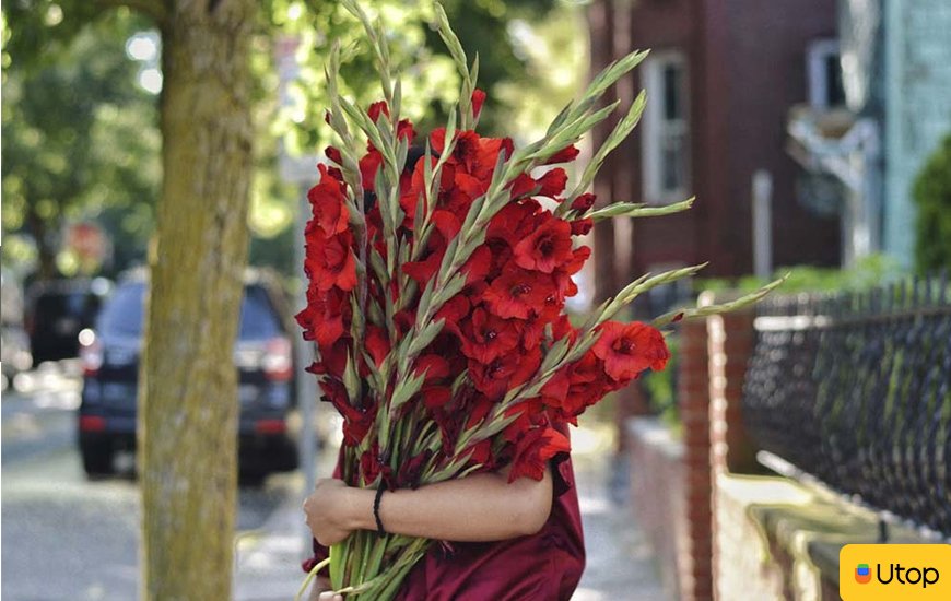 Cách làm hoa lay ơn nhanh nở