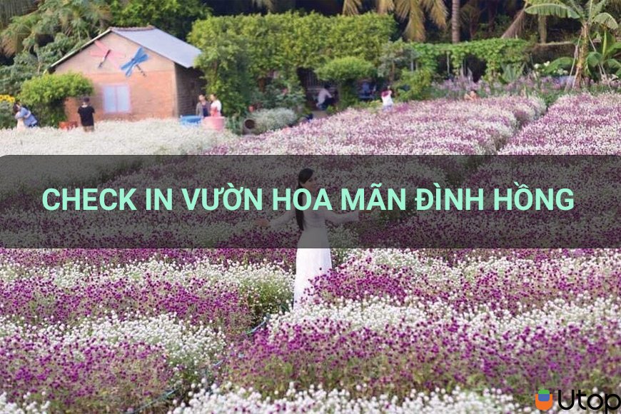 Check in mơ mộng ở Vườn hoa Mãn Đình Hồng mà bạn không thể bỏ qua