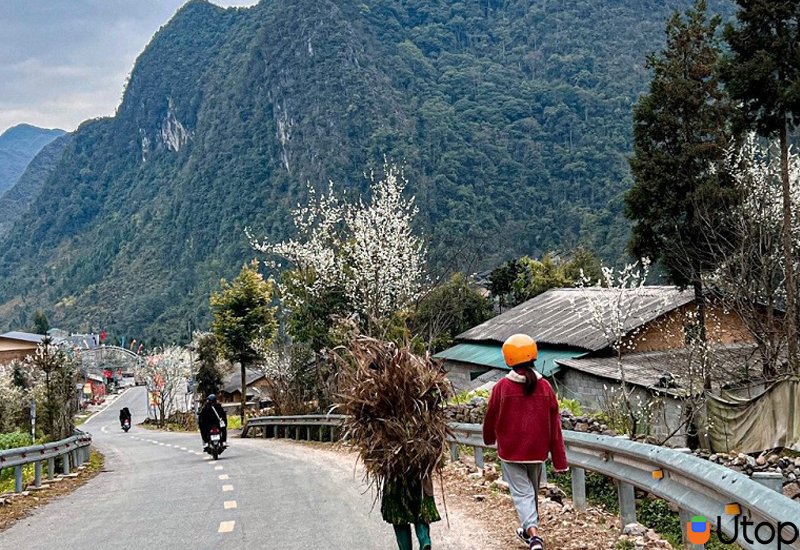 Những lưu ý khi tới du lịch tại cao nguyên đá Đồng Văn