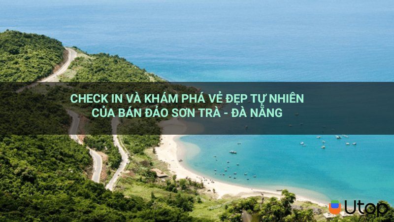 Check in và khám phá vẻ đẹp tự nhiên của bán đảo Sơn Trà - Đà Nẵng 