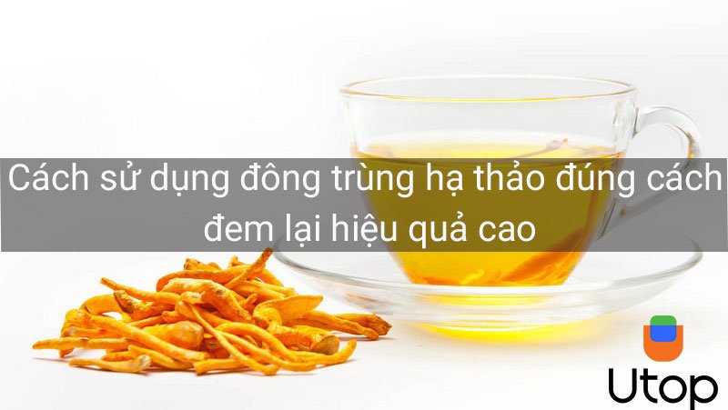 Cách sử dụng đông trùng hạ thảo đúng cách- đem lại hiệu quả cao