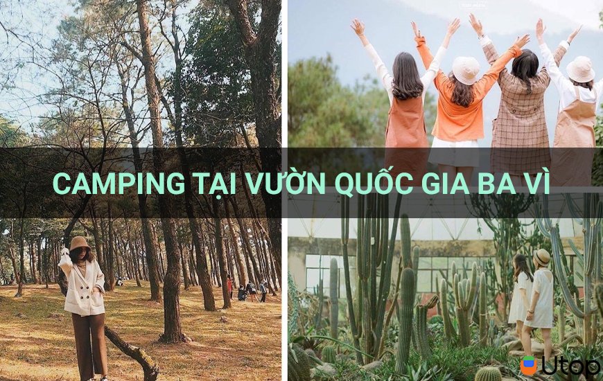 Đam mê camping đừng bỏ qua trải nghiệm tại vườn quốc gia Ba Vì