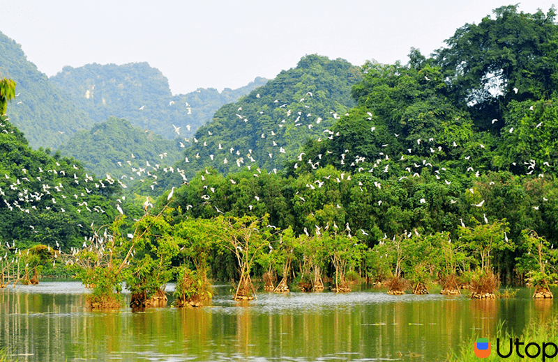 Khu du lịch sinh thái Thung Nham