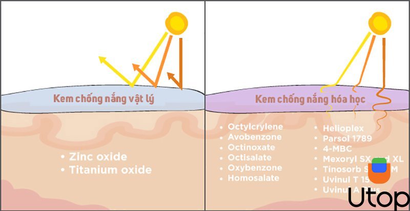 Điểm khác nhau giữa hai loại kem chống nắng này?