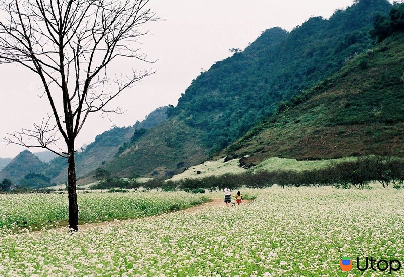 Sao chúng lại đẹp nhất vào những mùa cuối năm