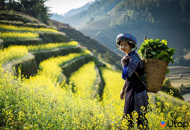 Qua những chuyến đi chúng mang lại điều gì cho chúng ta