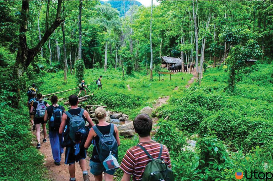 Du Lịch Sinh Thái