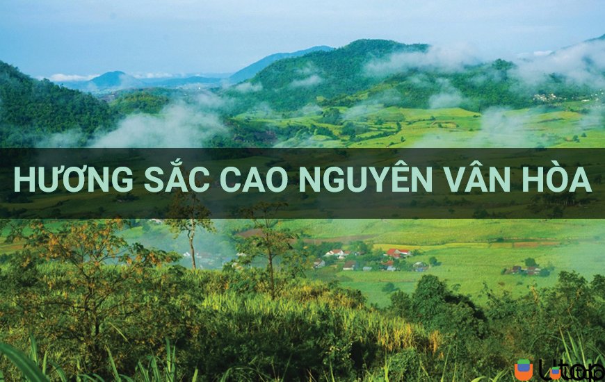 Đừng bỏ lỡ hương sắc cao nguyên Vân Hòa khi ghé đến Phú Yên