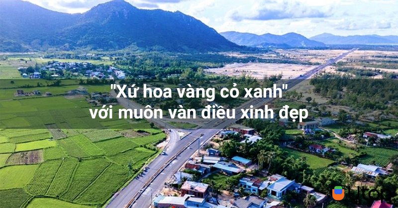 Đừng bỏ qua "Xứ hoa vàng cỏ xanh" với muôn vàn điều xinh đẹp