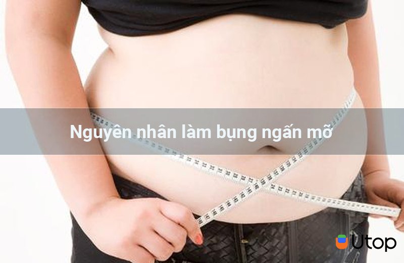 Nguyên nhân làm bụng ngấn mỡ