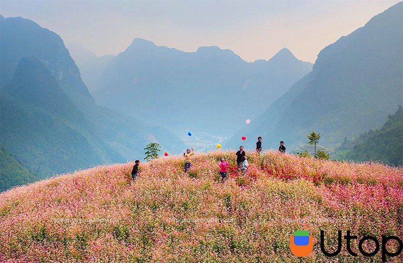 Hà Giang điểm đến lý tưởng cho những người yêu thích sự lãng mạn