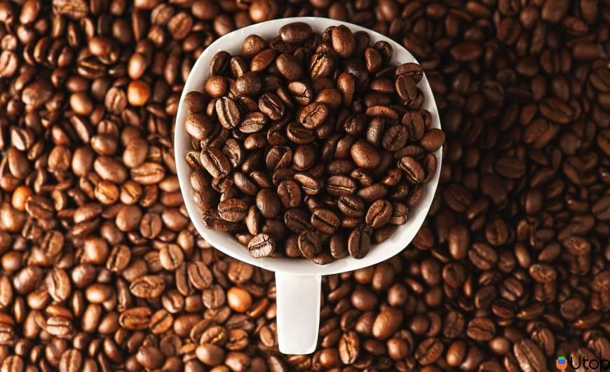 Hàm lượng cafein có chứa trong hạt cà phê Robusta