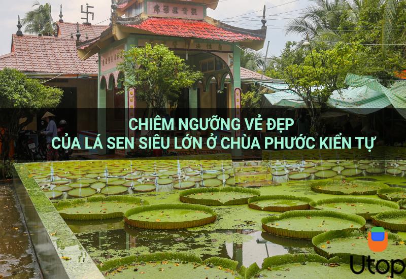 Chiêm ngưỡng vẻ đẹp của lá sen siêu lớn ở chùa Phước Kiển Tự