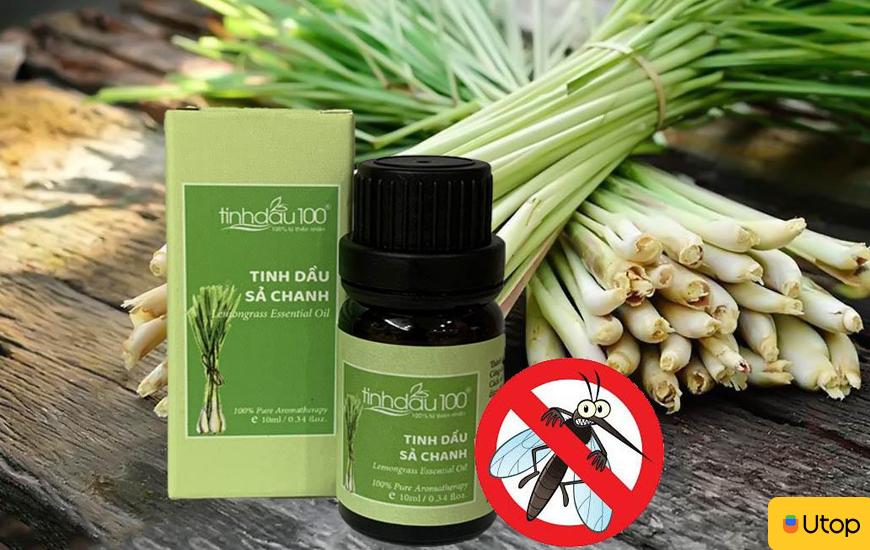 Công dụng tinh dầu sả cho gia đình