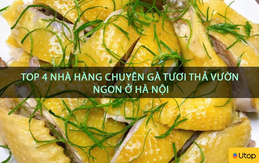 Top 4 nhà hàng chuyên gà tươi thả vườn ngon ở Hà Nội