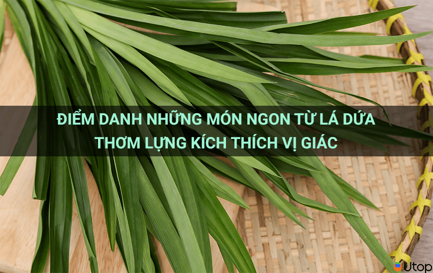 ĐIỂM DANH NHỮNG MÓN NGON TỪ LÁ DỨA THƠM LỰNG KÍCH THÍCH VỊ GIÁC