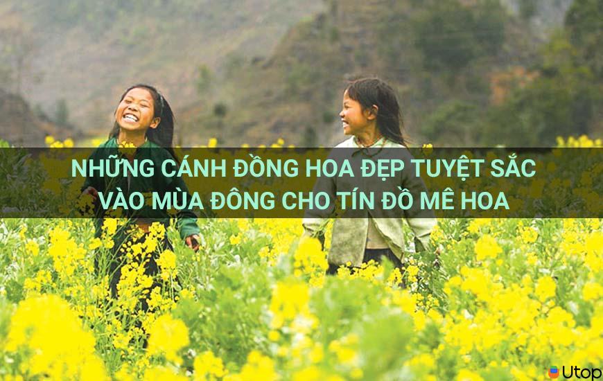 Những cánh đồng hoa đẹp tuyệt sắc vào mùa đông cho tín đồ mê hoa