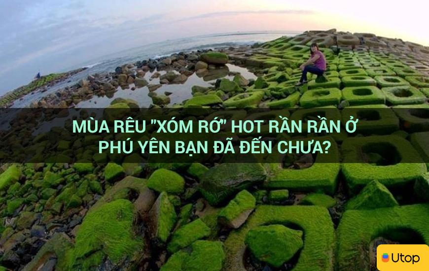 Mùa rêu "xóm rớ" hot rần rần ở Phú Yên bạn đã đến chưa?