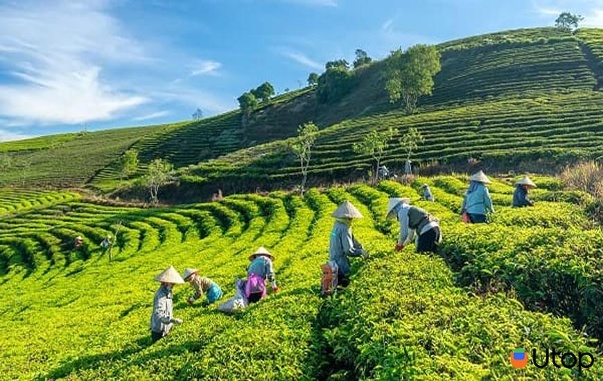 Những điểm nổi bật của Cao nguyên Vân Hòa