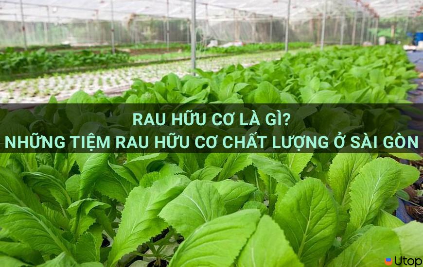 Rau hữu cơ là gì? Những tiệm rau hữu cơ chất lượng ở Sài Gòn