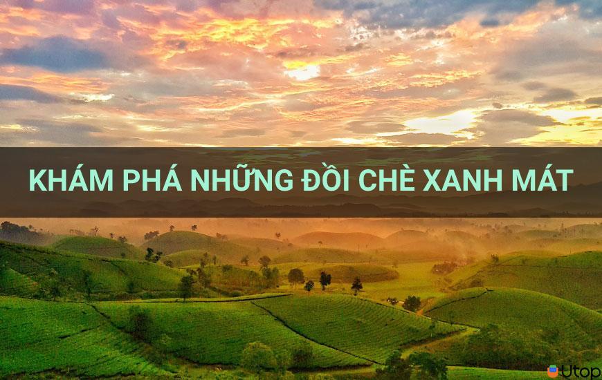 Top những đồi chè xanh mát mắt bạn nên đi thử vào mùa đông này