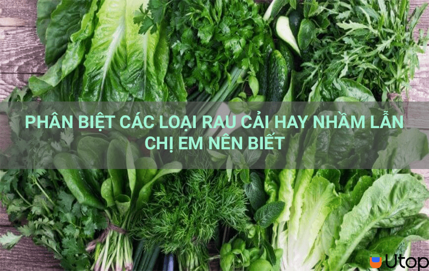 Phân biệt các loại rau cải hay nhầm lẫn chị em nên biết