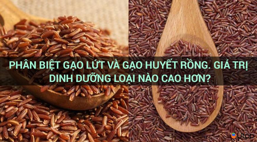 Phân biệt gạo lứt và gạo huyết rồng. Giá trị dinh dưỡng loại nào cao hơn?