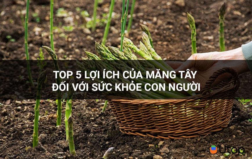 Top 5 lợi ích của măng tây đối với sức khỏe con người 