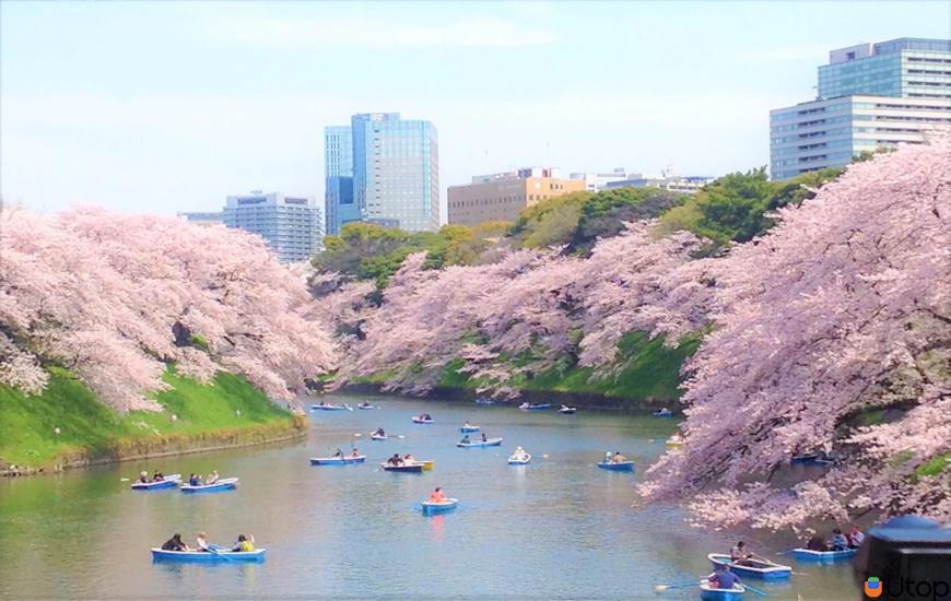 3.Công viên Chidorigafuchi