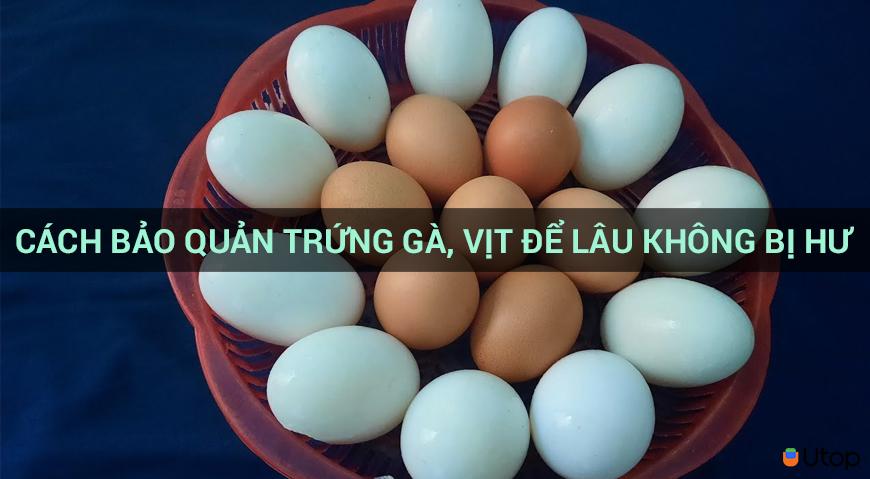 Cách bảo quản trứng gà, vịt để lâu không bị hư