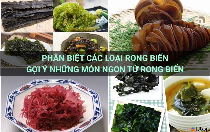 Phân biệt các loại rong biển. Gợi ý những món ngon từ rong biển