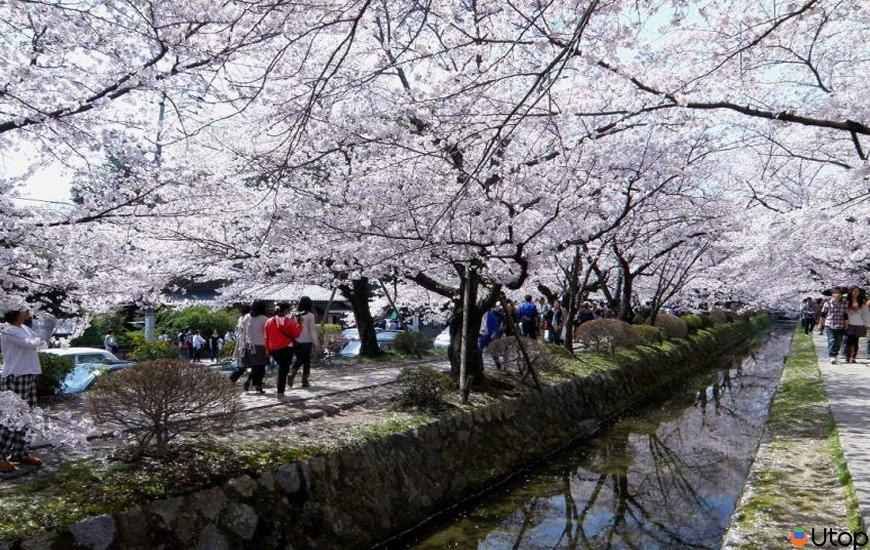 6.Con đường Triết Học, Kyoto