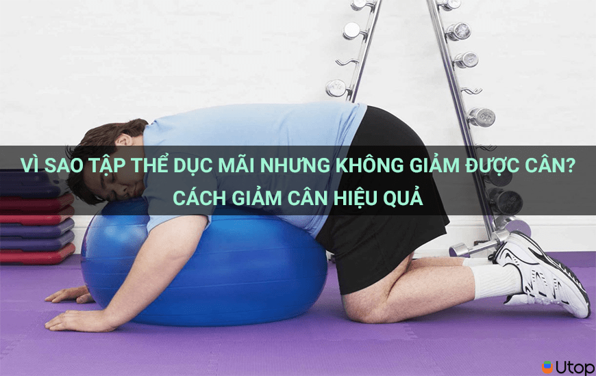 VÌ SAO TẬP THỂ DỤC MÃI NHƯNG KHÔNG GIẢM ĐƯỢC C N? CÁCH GIẢM C N HIỆU QUẢ