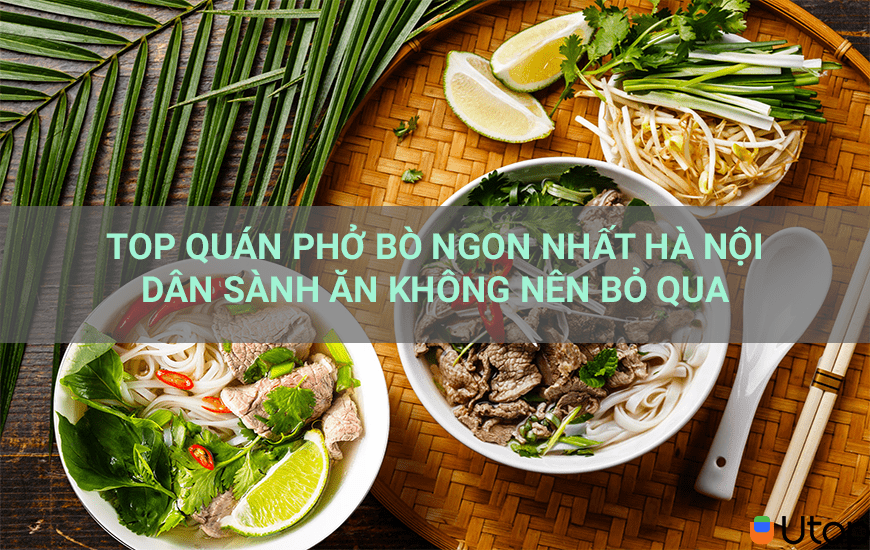 TOP QUÁN PHỞ BÒ NGON NHẤT HÀ NỘI D N SÀNH ĂN KHÔNG NÊN BỎ QUA