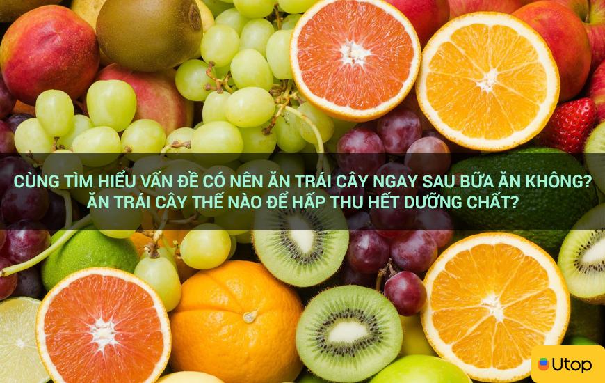 Cùng tìm hiểu vấn đề có nên ăn trái cây ngay sau bữa ăn không? Ăn trái cây thế nào để hấp thu hết dưỡng chất?